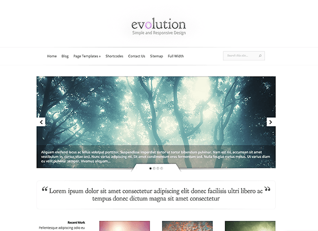 WordPress Theme