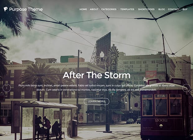 WordPress Theme