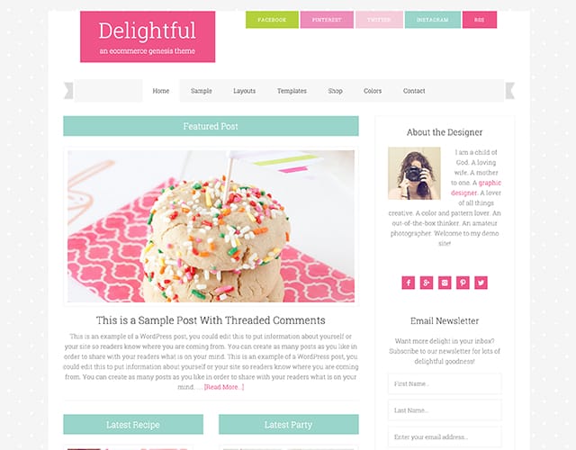 The Delightful Pro Theme