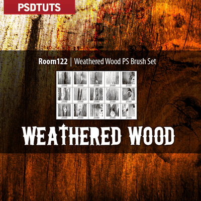 15WWPSBrushes