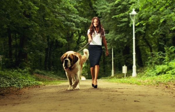 Spend time with your pet