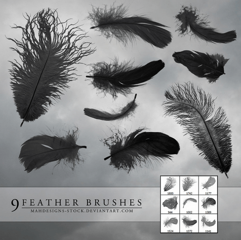 9FeatherBrushes