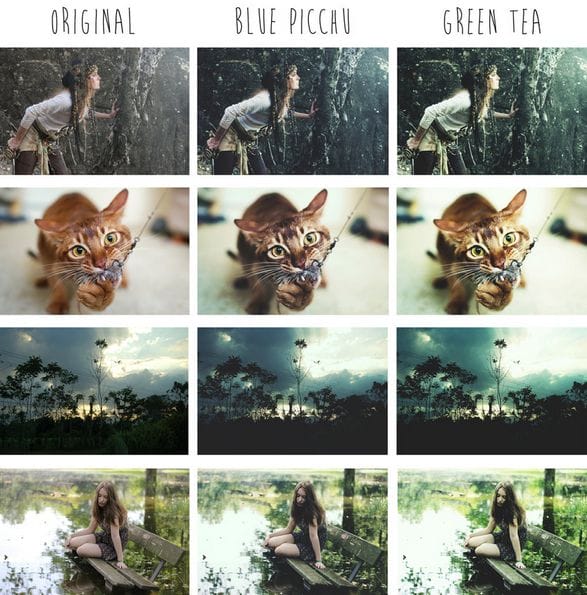 Blue Picchu and Green Tea