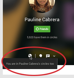 Follows You Back on Google Plus