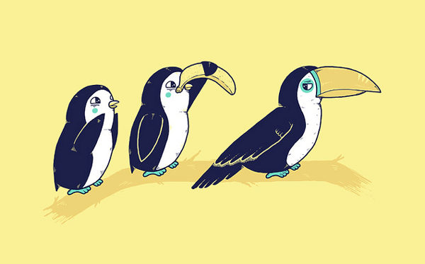 Birds7