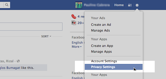 Go to privacy setting option