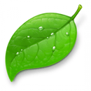 Coda Editor