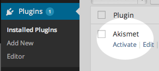 Activate Akismet