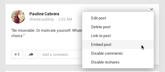 Embedding Google Plust Post