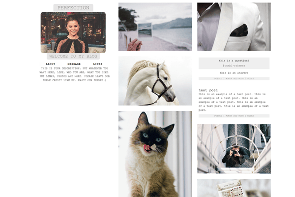 Perfection Tumblr Theme
