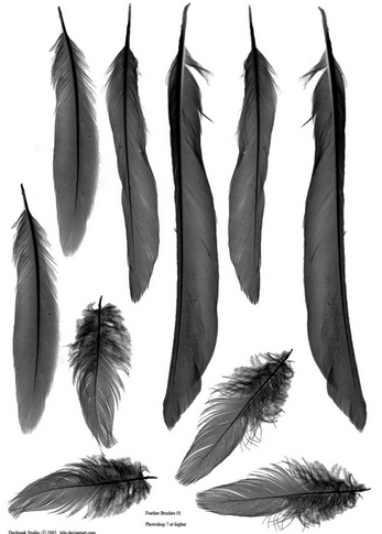 FeatherBrushes01
