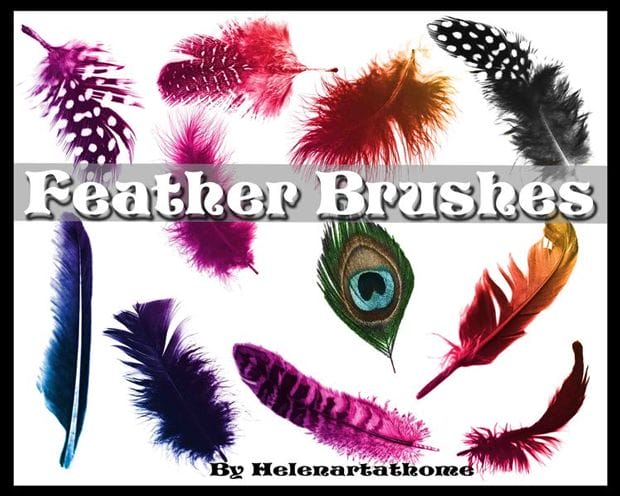 FeatherBrushes