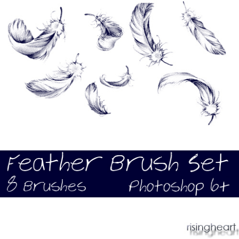 FeatherBrushesSet1