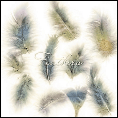 Feathers