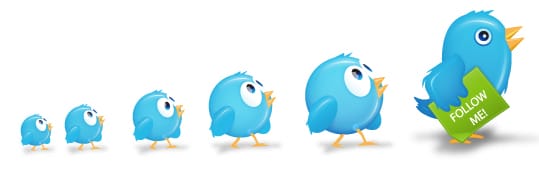 Follow and follow back