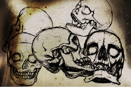 HDSBrushesVectorResource