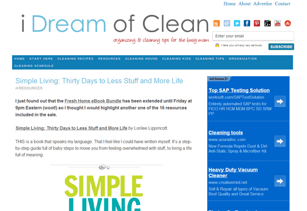 IDreamOfClean
