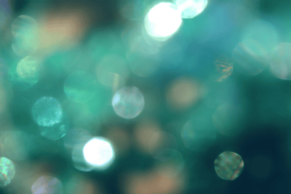 LBokegTExt61