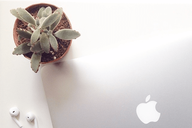 Macbook Free Styled Stock