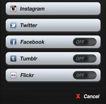 Tap Instagram Option to Save Photo to Instagram