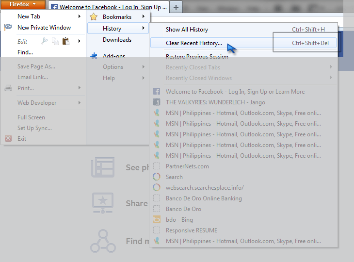 MozClearHisFB