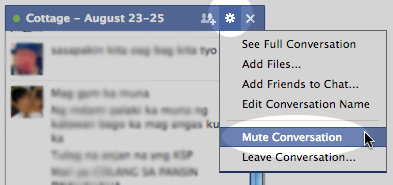 Mute Conversation Option