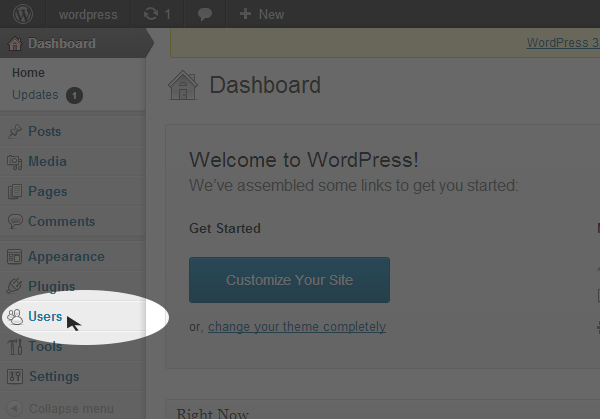 NewUserWP