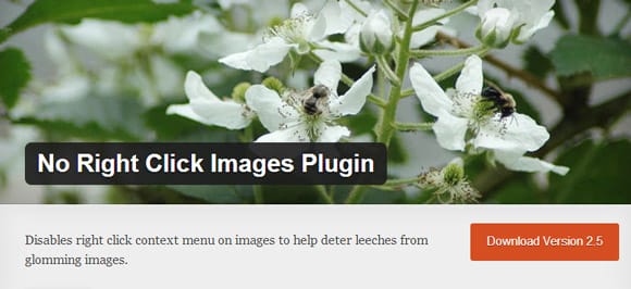 NoRightClickImagePlugin