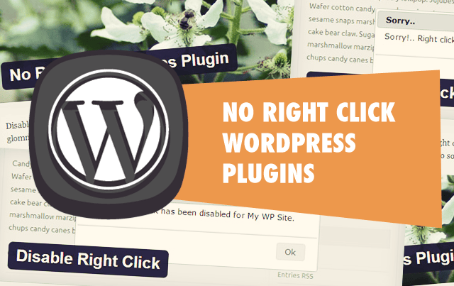 No Right Click WordPress Plugins