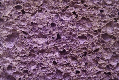 OldSponge