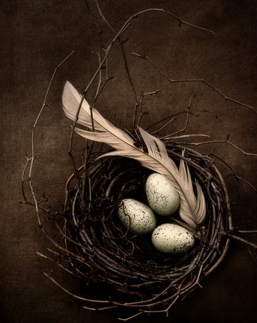 Rebirth By Amy Weiss