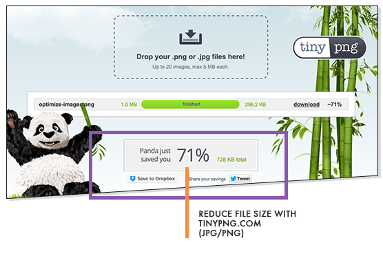 Reduce File Size TinyPNG