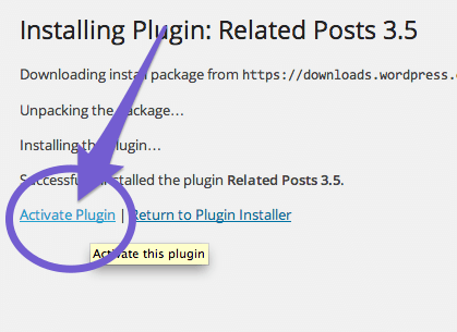 Activate The Plugin