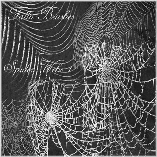 SpiderWebBrushes