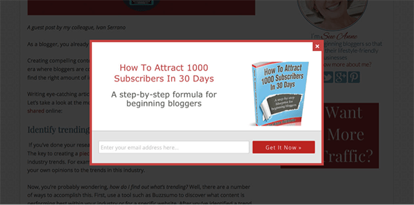 Build Your Email List