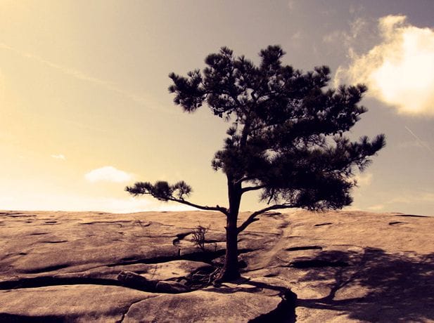 Free Sunrise and Sunset Photoshop Action