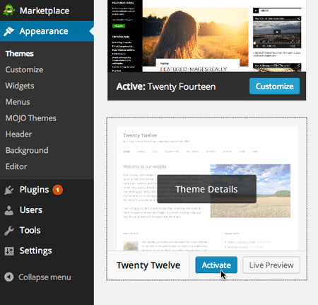 Activate Twenty Twelve