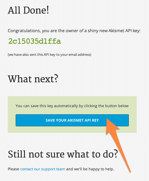 Save your Akismet API Key