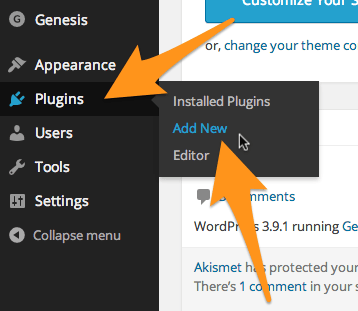 Click Plugins then Add New