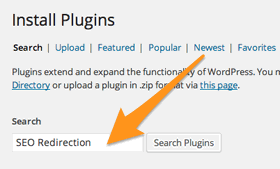 Search for SEO Redirection