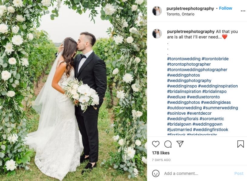 purple tree wedding photographer