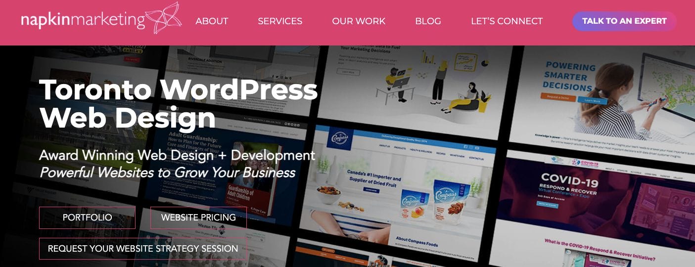 Napkin Marketing Web Designers Toronto