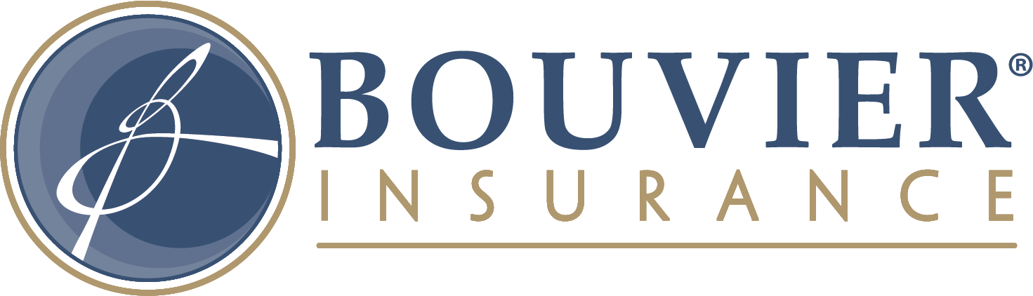 Bouvier Logo Examples of Insurance Agent