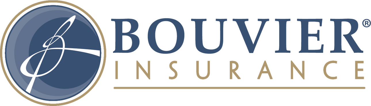 Bouvier Logo Examples of Insurance Agent