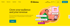 Mailchimp B2B Website Insipirations