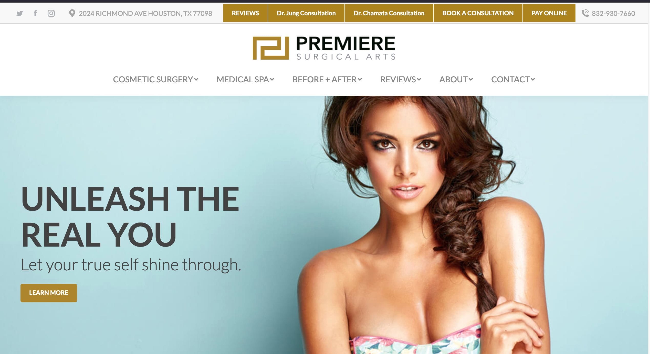 Premier Surgical Arts