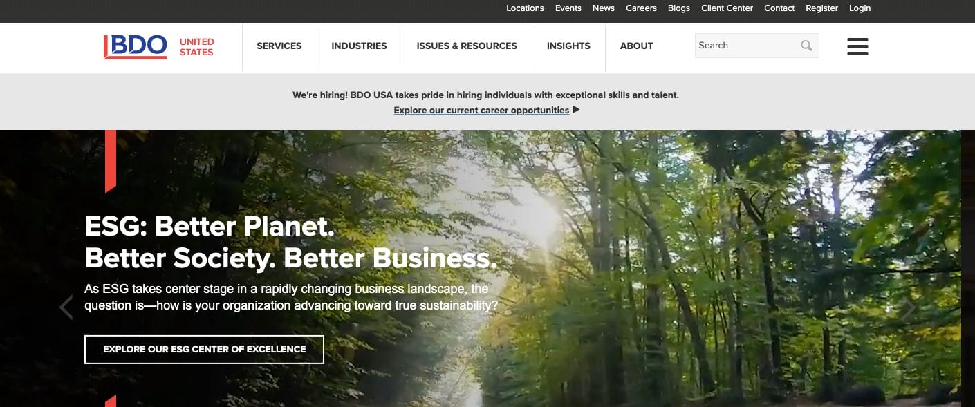 BDO CPA Website Examples