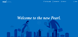 Pearl Capital Financial Services Website Examples
