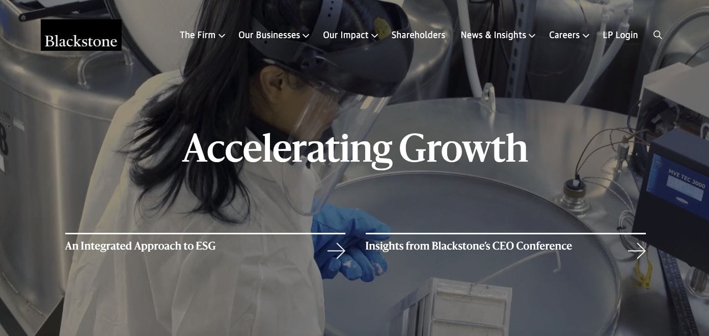 Blackstone Hedge Fund