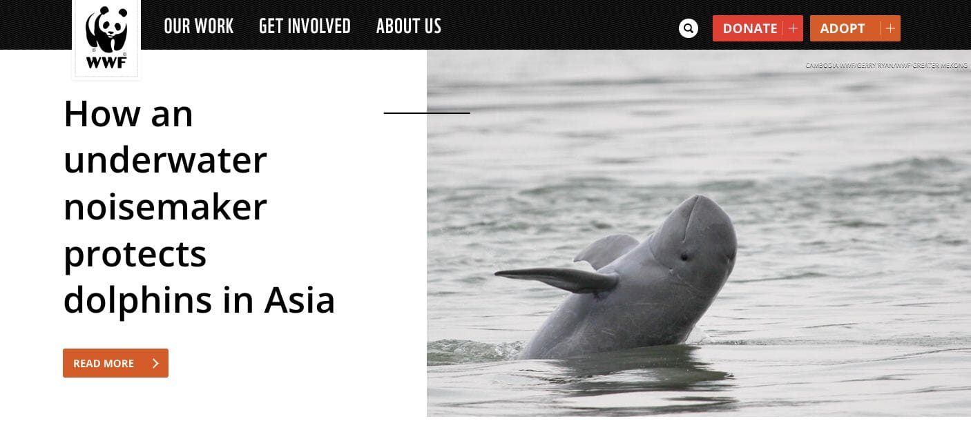 World Wild Life Nonprofit Website Design
